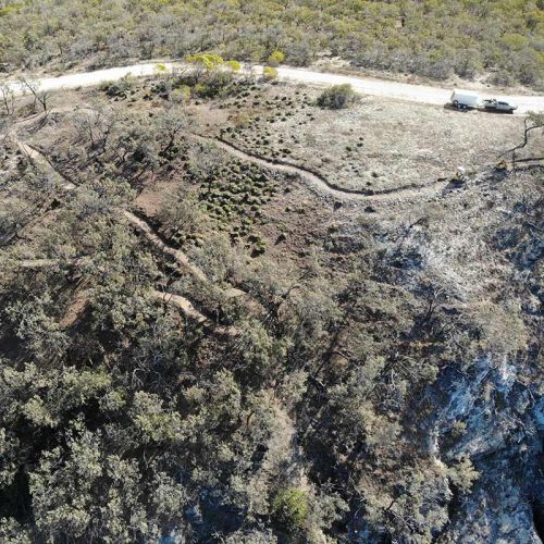 Curtis-Island-Mountain-Bike_Track-27