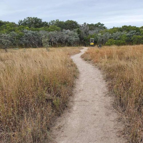 Mountain-Bike-Trail-Construction-01
